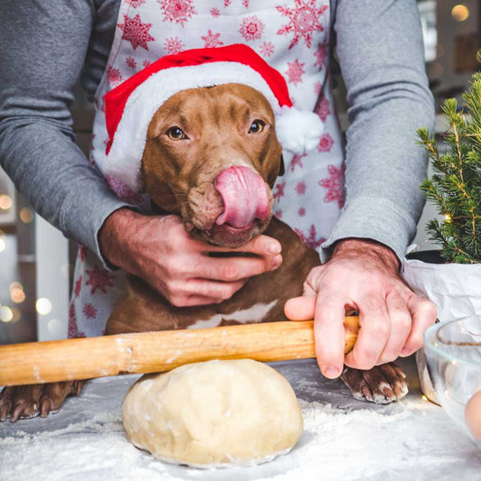 A Christmas cookies recipe for your dog - FlowerPup