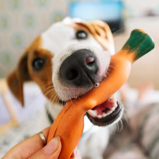 Pet memorial portrait: The best way to positively remember your pet - FlowerPup